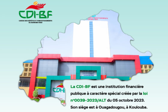 loi CDI-BF