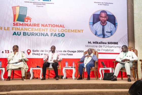 ANALYSE DU CADRE INSTITUTIONNEL ET POLITIQUE DU FINANCEMENT DU LOGEMENT AU BURKINA FASO