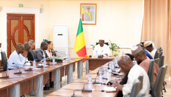 Audience du REAO et de la CDI-BF avec le Premier Ministre du Mali : une rencontre stratégique pour la souveraineté économique de l’AES